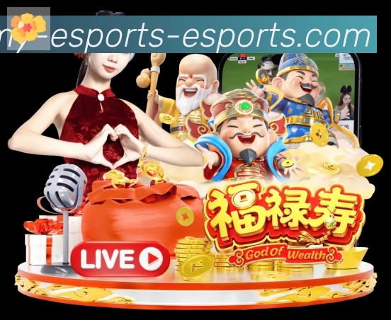 DOTA比分荣誉